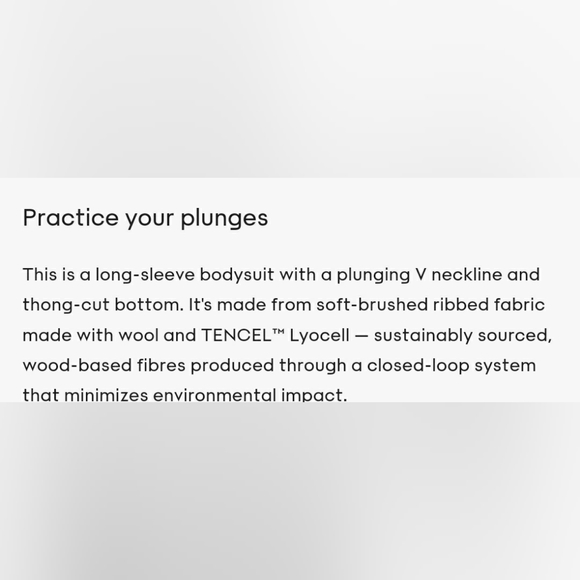 Babaton Bodysuit - Picture 4 of 4